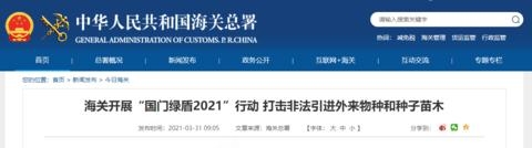 海关开展&#34;国门绿盾2021&#34;行动 打击非法引进外来物种和种子苗木-1.jpg