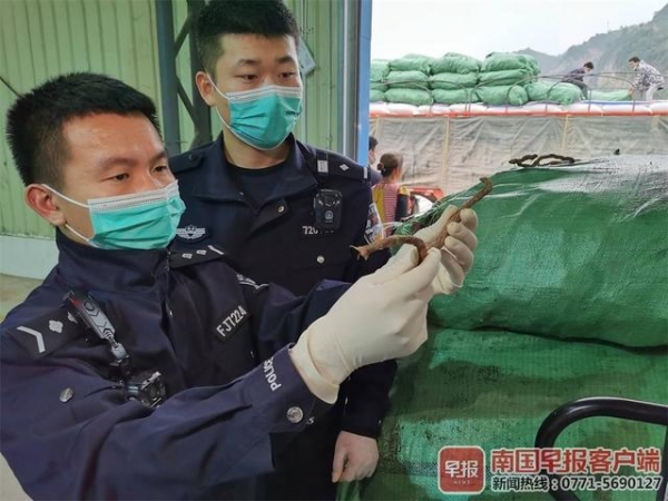 偷运至国内，再伺机“洗白”，一批涉嫌走私中药材被凭祥海关查获-2.jpg