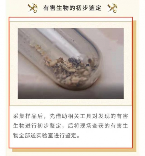 解读 | 入境货物木质包装查验工作-5.jpg