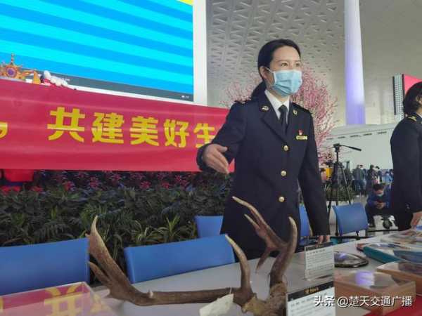 武汉海关开展“全民国家安全教育日”暨“海关口岸生物安全日”主题宣传活动-1.jpg