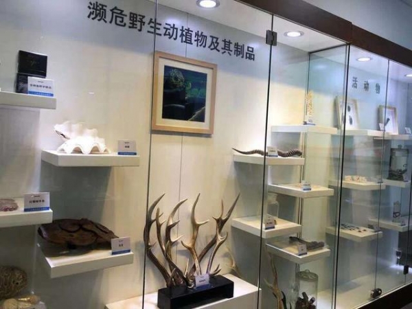 天津海关多项措施强化口岸监管把关 守护国门生物安全-1.jpg