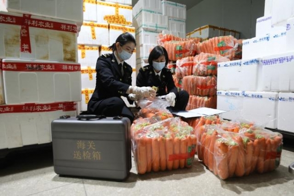 一季度增城海关共受理出口农产品1254批，其中远洋蔬菜出口批次已达去年全年的60%-2.jpg