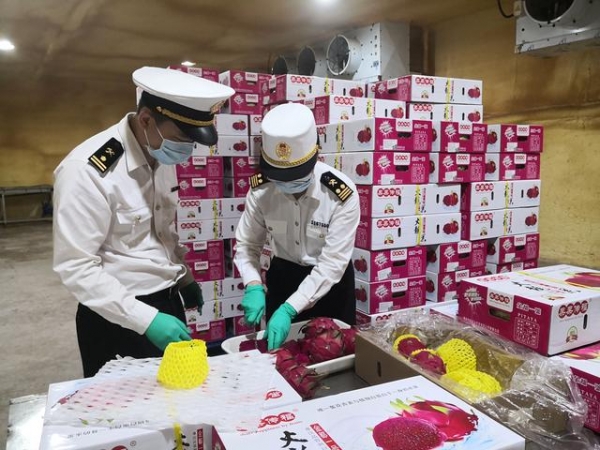 出口突破！广州海关关区首次出口火龙果和哈密瓜-2.jpg