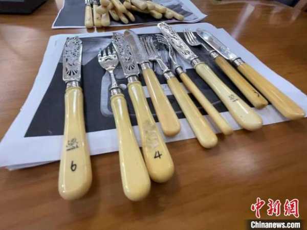 南京海关移交一批罚没濒危野生动植物及其制品-2.jpg