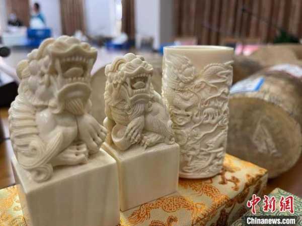 南京海关移交一批罚没濒危野生动植物及其制品-3.jpg