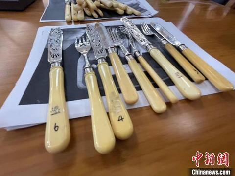 南京海关移交一批罚没濒危野生动植物及其制品-1.jpg