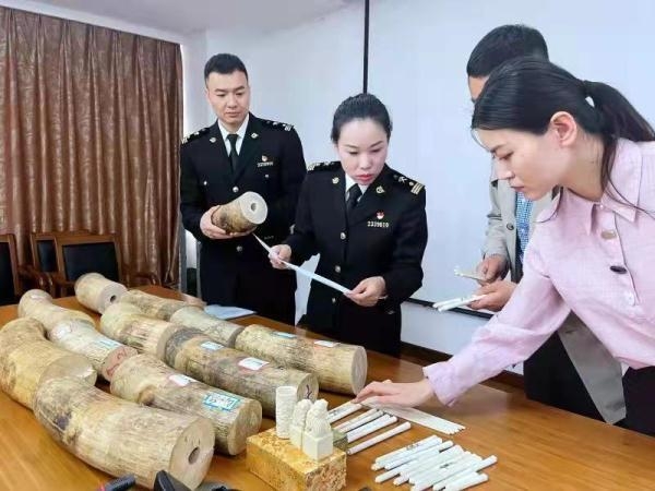 南京海关移交288公斤象牙及制品 大部分来自江苏最大走私象牙案-3.jpg