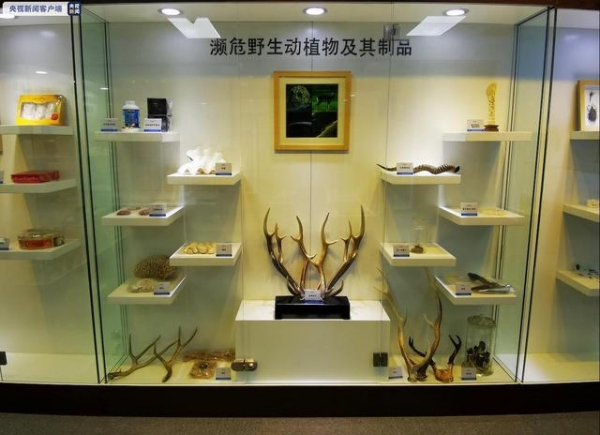 多肉植物不能随意携带进境 天津海关通报走私案例-2.jpg