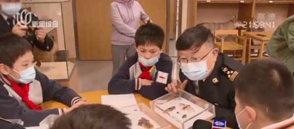 红火蚁、非洲蟑螂竟成宠物！海关截获→-2.jpg