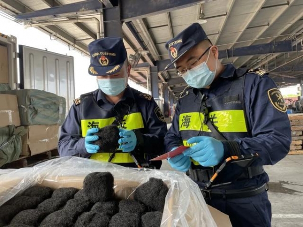（视频）发菜不能随便用来“发财”-2.jpg