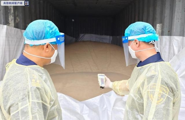 放射性超标近7倍！1006吨进口锆英砂被湛江海关截获-1.jpg