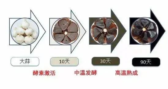 【进出口食品安全】黑蒜诞生记-8.jpg