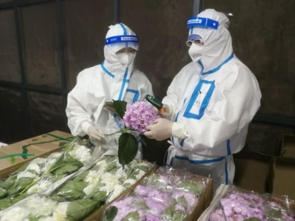 助力节日期间鲜活农产品进口，浦东机场海关打造“高速跑道”-2.jpg
