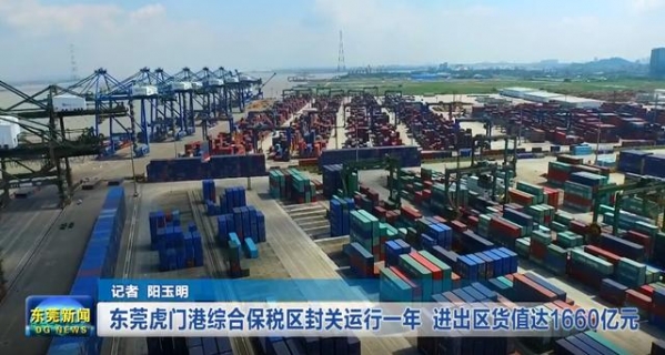 「视频」奋楫破浪开新篇｜东莞虎门港综合保税区封关运行一年 进出区货值达1660亿元-2.jpg