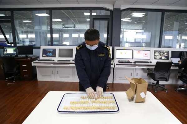 （视频）果蝇大军覆灭记-2.jpg
