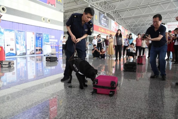 海关工作犬PK机器犬—记石家庄海关食品安全口岸行w8.jpg