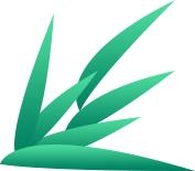 【动植物检疫】进境种苗那些事儿-3.jpg