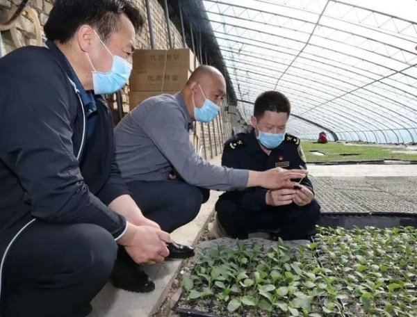 【动植物检疫】进境种苗那些事儿-7.jpg
