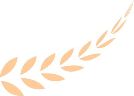 【动植物检疫】进境种苗那些事儿-10.jpg