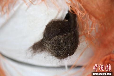 南宁海关首次查获走私人发案 查获涉案人发3.18吨-3.jpg