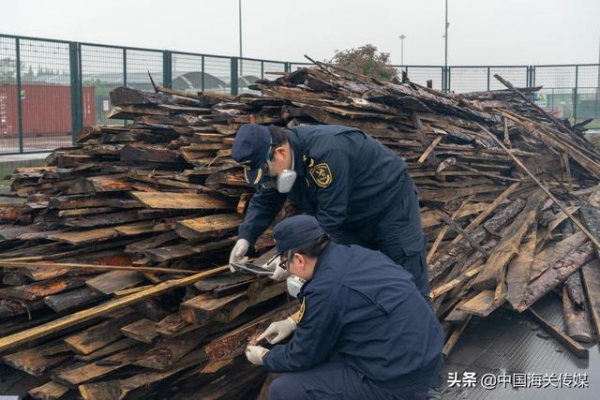 进口板材实为边角料，退运-1.jpg