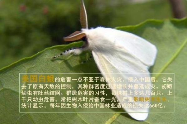 维护国门生物安全的四大法宝-4.jpg