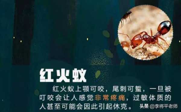 海关如何知道你带了活物入境？细数中国入侵生物中的英雄和耻辱们-9.jpg