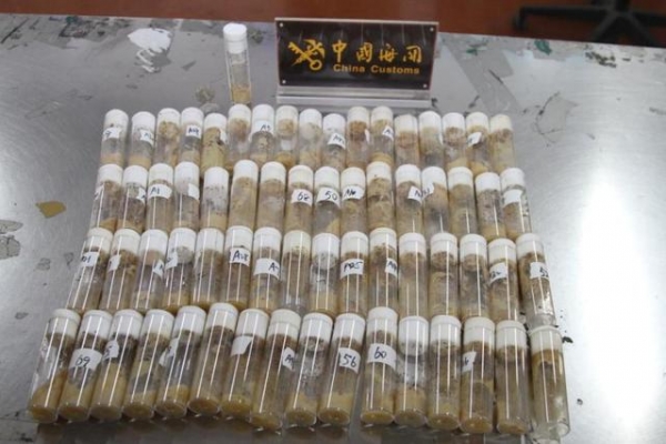 “衣服”邮包夹藏66个指形管！青岛海关截获非法入境黑腹果蝇7000余只-3.jpg