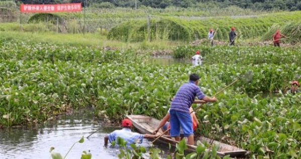 青岛海关截获美国包裹，内含大量黑腹果蝇，一旦入境后果不堪设想-7.jpg