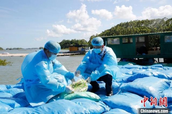 境外生产伪装国内商品 南宁海关查获涉嫌走私即食鸡爪逾37吨-2.jpg