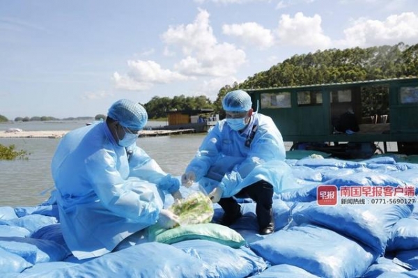 37.5吨涉走私即食鸡爪被钦州海关查获，冒用商标企图混入国内市场-2.jpg