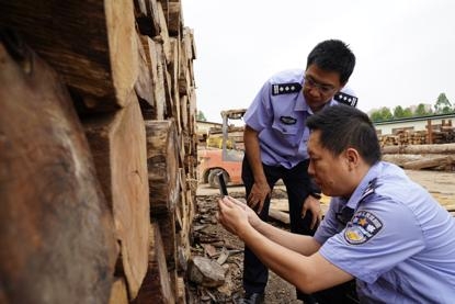 濒危物种走私触目惊心，海关严打-5.jpg