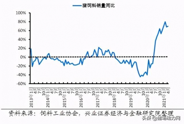 又一噩耗传来！海关最新数据公布，危险的何止7元猪价-3.jpg