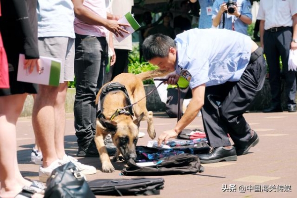 让青春不“毒”行 宁波海关禁毒宣传进校园-2.jpg