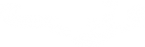 w3.jpg