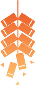 w1.jpg