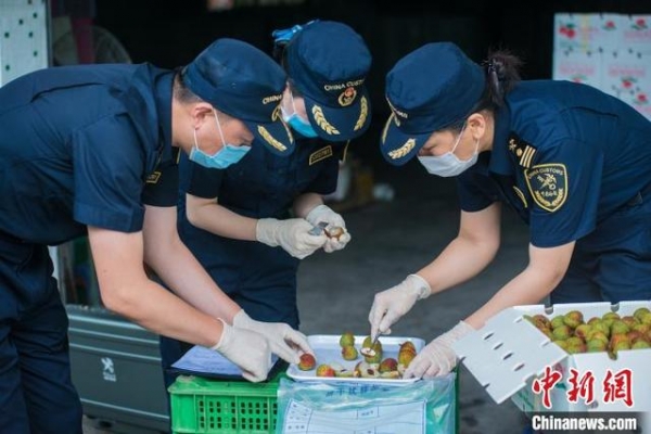 前10个月广东外贸进出口5.68万亿元-2.jpg