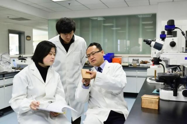 走进国家材种鉴定与木材检疫重点实验室-6.jpg