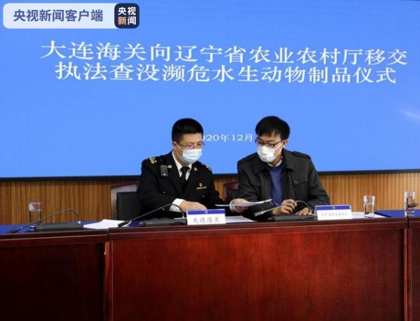 鲸类牙齿、砗磲、玳瑁、珊瑚制品近10千克！大连海关移交1942件濒危水生动物制品-1.jpg