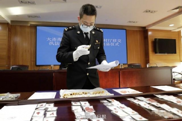 大连海关移交水生濒危动物制品1942件-2.jpg