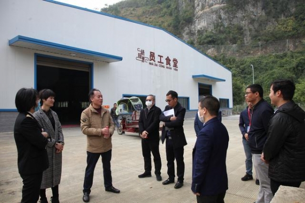 凌星高召开重大项目建设工作推进现场会-2.jpg