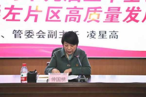 广西凭祥综合保税区、中国（广西）自由贸易试验区崇左片区召开传达学习党的十九届五中全会精神大会-3.jpg