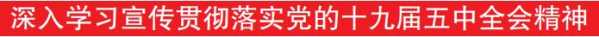 天津东疆保税港区创新融资担保基金成立-2.jpg