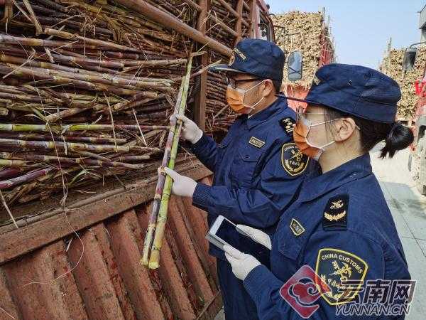 昆明海关精细服务助力云南农产品进出口实现双增长-1.jpg