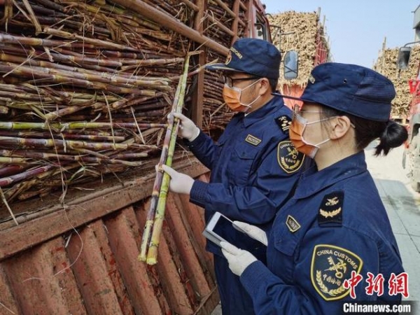 云南前11个月农产品进出口额双增长-1.jpg
