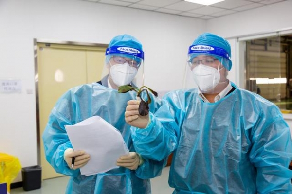 快件藏猫腻！北京首都机场海关毛绒玩具中查获猪笼草-2.jpg