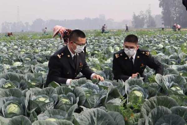 莆田海关：着力“省优特严”，优化跨境营商环境-10.jpg