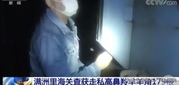 满洲里：海关查获走私高鼻羚羊羊角179根-1.jpg