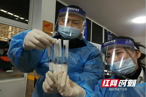 蚂蚁凶猛！长沙海关首次截获4种危险性活体蚂蚁-1.jpg