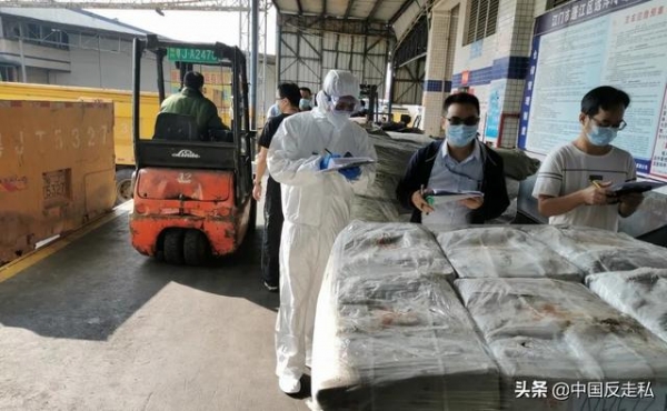 【国门利剑2020】天津海关积极开展涉案走私冻品后续处置工作-3.jpg